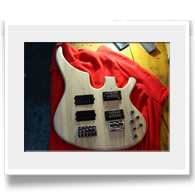 Dual Neck Bass Guitar M2