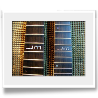 Dual Neck Bass Guitar M2