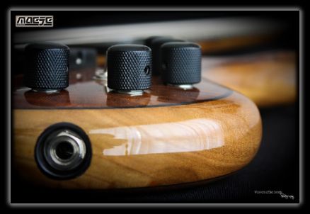 Maese Luthier