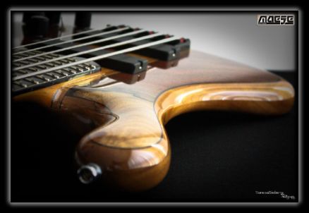 Maese Luthier