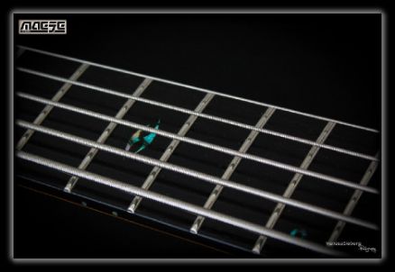 Bass Luthier