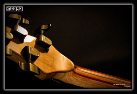 Maese Luthier