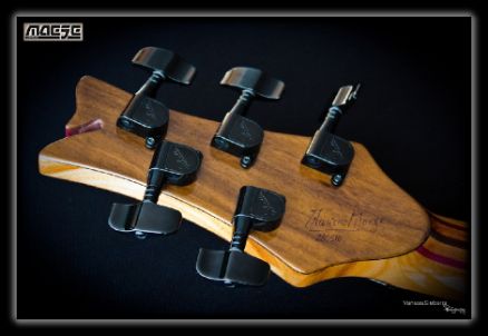 Luthier